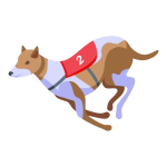 greyhound-racing-icon-isometric-vector-animal-pet-canine-domestic_96318-91870-removebg-preview greyhound-racing-icon-isometric-vector-animal-pet-canine-domestic_96318-91870-removebg-preview